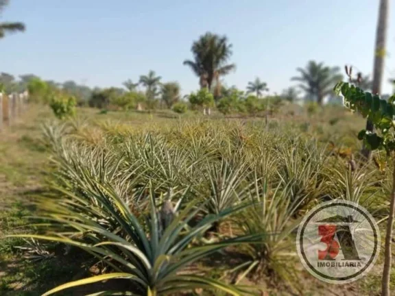 Imagem Chácara 2,5 hectares no Areia Branca
