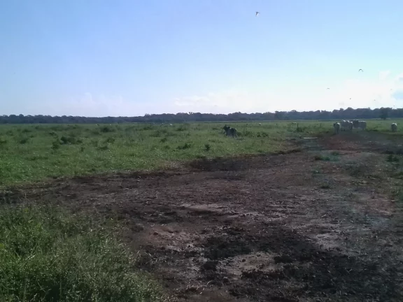 Imagem FAZENDA RURAL em LINHARES - ES, ÁREA RURAL DE LINHARES
