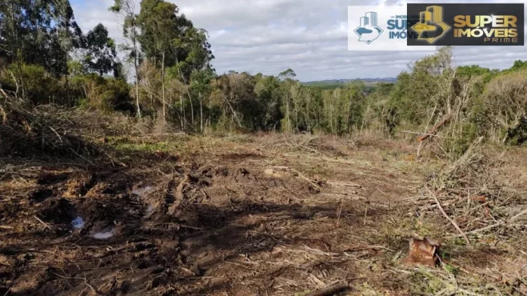 Imagem Fazenda para Venda em Canguçu-RS