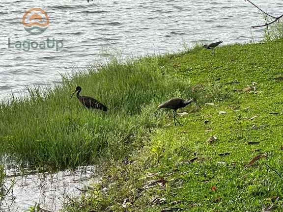 Imagem Terreno à venda, 660 m² por R$ 320.000,00 - Condomínio Vale dos Sonhos - Lagoa Santa/MG