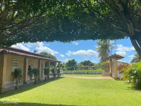 Imagem Fazenda à venda em Lagarto/SE - 80 Tarefas, Casa com 3/4 e 3 Suítes, Curral e Nascente!