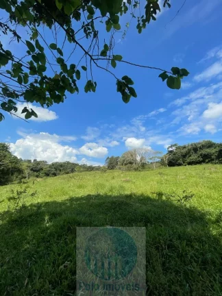 Imagem Sítio 6,5 alqueires por R$ 900.000 em São Sebastião do Paraíso - Minas Gerais.