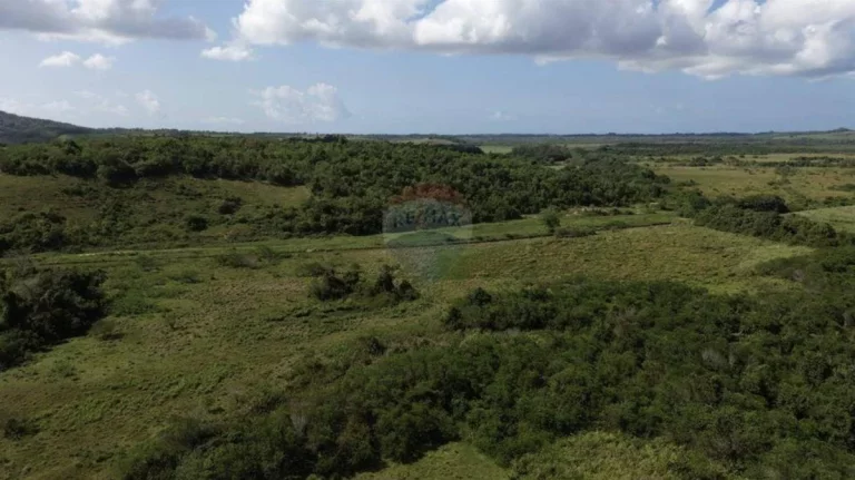 Imagem Fazenda à Venda, 1.449.875 m² em Zona Rural - Anchieta