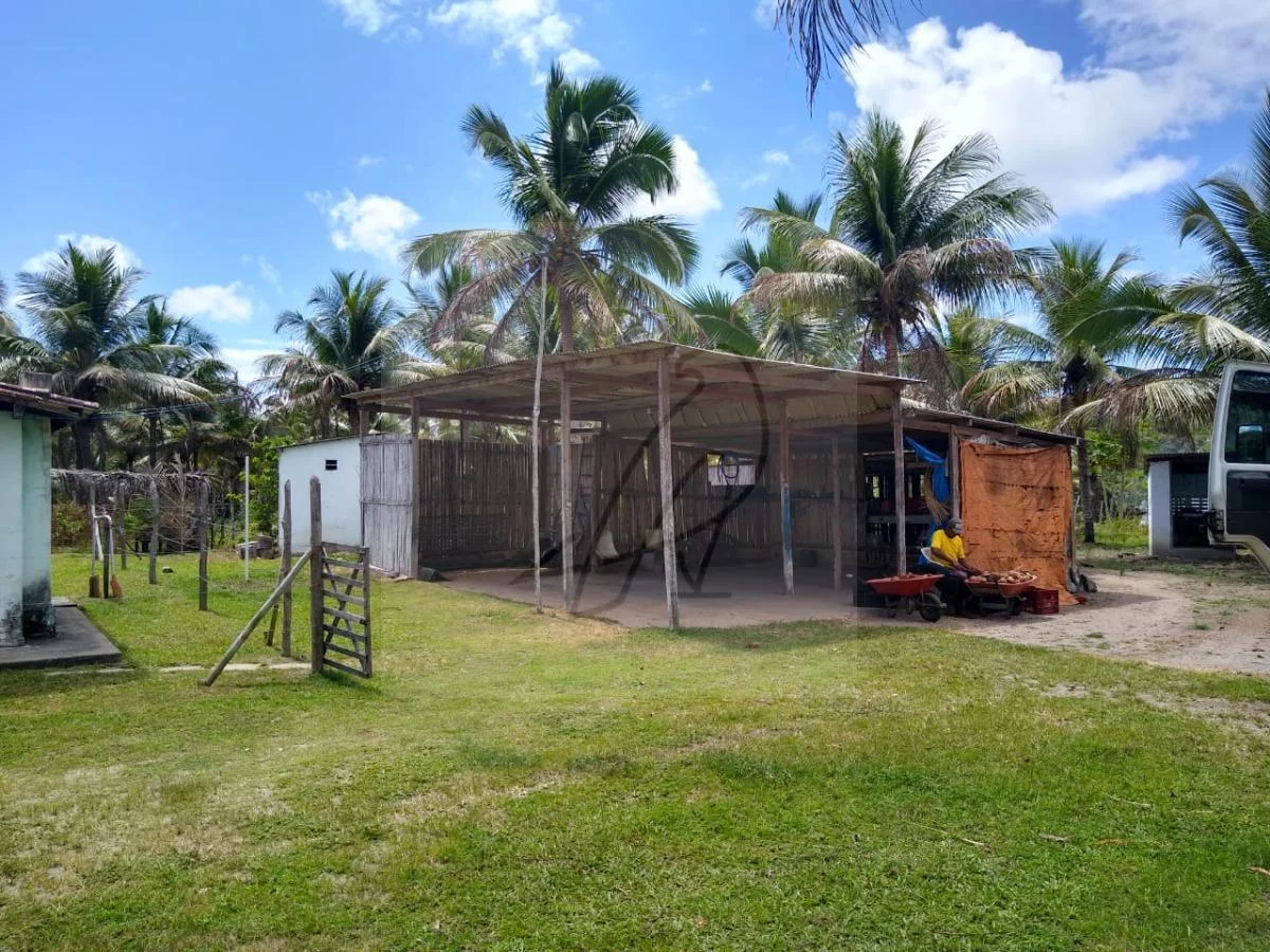 Imagem Vendo Fazenda produtiva 250mil m2, Conde / BA