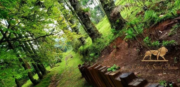 Imagem Terreno à venda, 1300 m² por R$ 1.250.000,00 - Campos Do Jordão - Campos do Jordão/SP