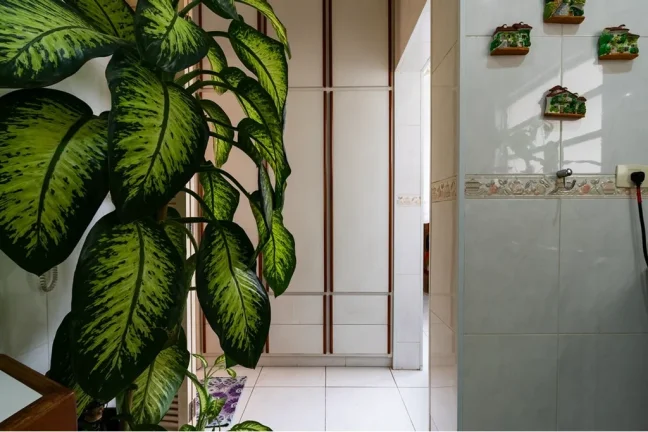 Imagem APARTAMENTO RESIDENCIAL em São Paulo - SP, Indianópolis
