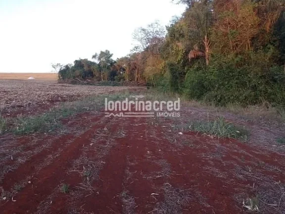 Imagem Vendo Terreno de 40.000m² Próximo a Ibiporã – Ótimo para Investimento, Loteamento, Agricultura ou Chácaras! Duas Escrituras! Agende uma Visita!