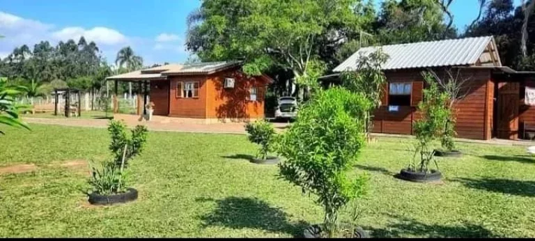 Imagem Lindo Sítio em Arárica com 2 casas construídas