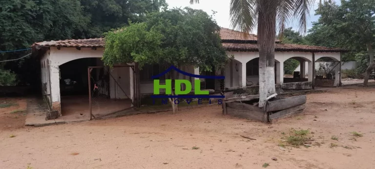 Fazenda 240 Alqs Dupla Aptidão em Peixe TO