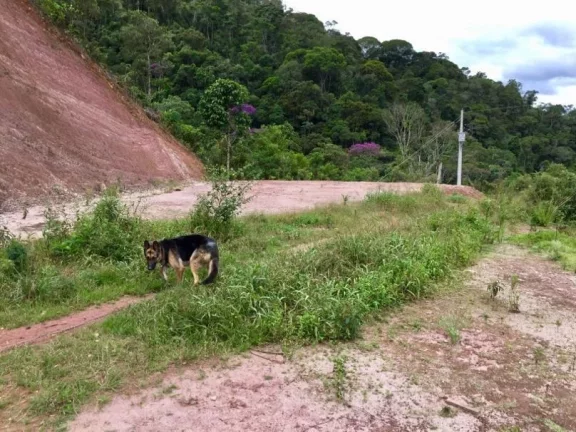 Imagem Sitio com ampla casa térrea com varanda ampla lateral.