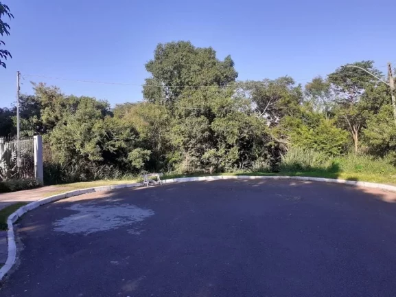 Imagem Terreno à venda no bairro Ipanema - Porto Alegre/RS