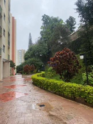 Imagem Apartamento com 2 quartos à venda, 57 m² - Jardim das Vertentes - Vila Sônia - São Paulo/SP