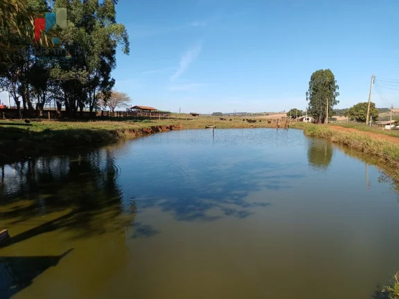 Imagem Fazenda á venda em Avaré SP