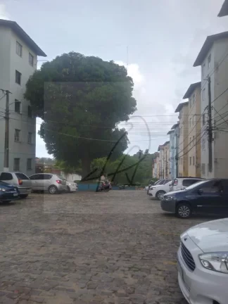 Imagem Vendo Ap 2 quartos, 44m2, Sussuarana, Salvador-BA