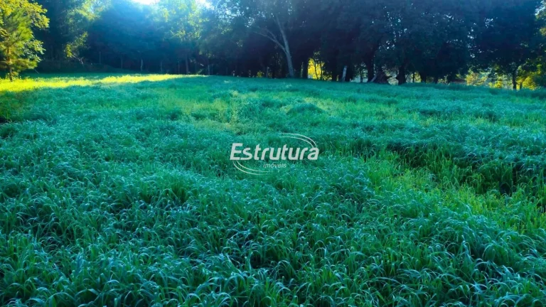 Excelente Chácara próxima ao Frigorífico Silva