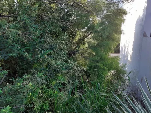 Imagem Terreno à venda no bairro Ipanema - Porto Alegre/RS