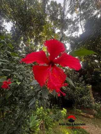 Imagem Sítio a Venda Localizado em São Bento-SP.