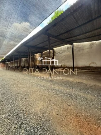 Imagem Terreno - Ribeirão Preto - Centro - Região Central