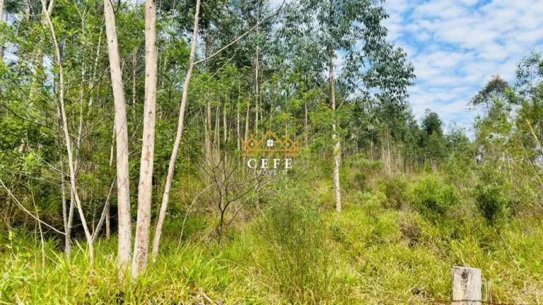 Imagem Chácara - Sítio com 1 Dormitorio(s) localizado(a) no bairro Zona Rural em Araricá / RIO GRANDE DO SUL Ref.:1585