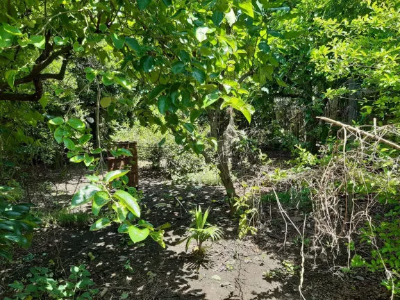 Imagem Terreno com Amplo Sobrado Não Averbado no Guaira