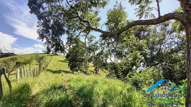 Imagem Paraíso Particular: 14,32 ha, com Vista Panorâmica e Natureza Preservada!