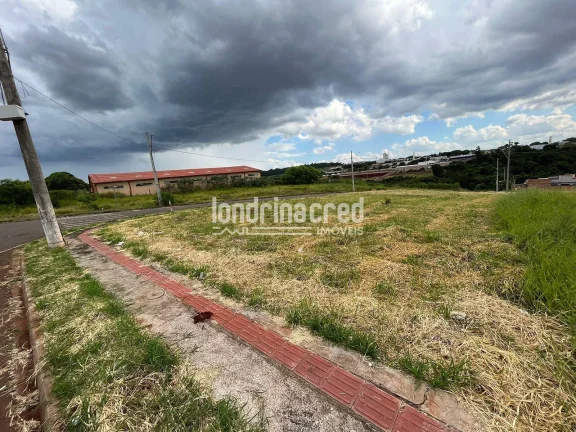 Imagem Excelente Terreno Comercial em Ibiporã: 487,52 m² em Área em Crescimento, Frente à Hayamax, com Fácil Acesso ao Centro e à BR 369. Oportunidade Única