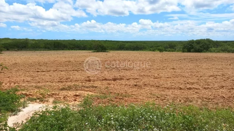 Imagem Fazenda à venda em Jandaíra - 300 hectares com alto potencial produtivo