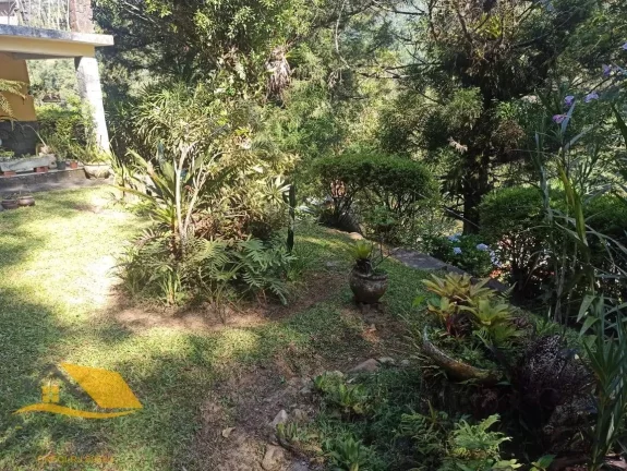 Imagem Vendo Chácara em Theodoro com 3 quartos, 1 suíte e 5 mil mts² de terreno.