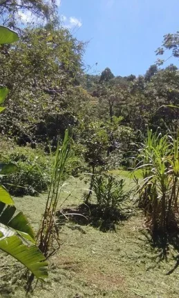 Imagem Terreno Comercial para Venda em Nova Friburgo, Mury, 1 dormitório, 1 banheiro, 3 vagas