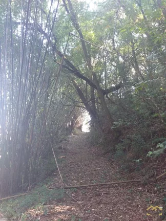 Imagem Terreno com 1.300² em condomínio fechado a Venda em Jarinu/SP