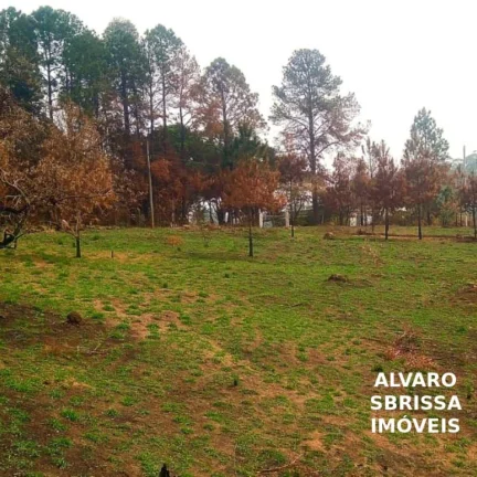 Imagem Sitio com 14,1482 Ha na rodovia Castelo branco em itu/SP