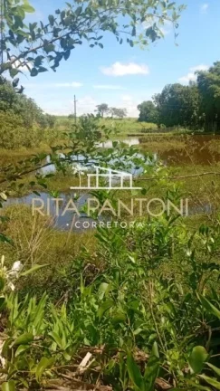 Imagem Sítio - Porto Ferreira - Zona Rural - Região Central