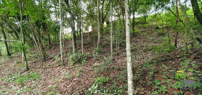 Imagem SITIO COMERCIAL em ESMERALDAS - MG, TURMALINAS