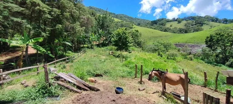 Imagem CHACARA 12.000 MTS - BAIRRO ANHUMAS - ITAJUBÁ - MG
