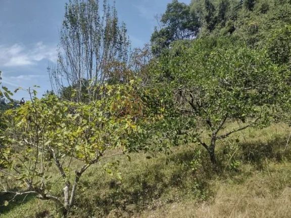 Imagem Sítio CONCÓRDIA - SC