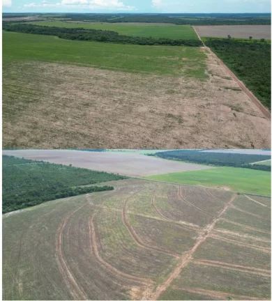 Imagem VENDO ESTA FAZENDA PRODUTIVA EM MATO GROSSO.