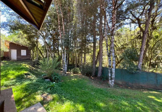 Imagem Três casas, um grande jardim e a liberdade de viver a serra no seu próprio ritmo