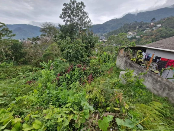 Vendo este terreno com 7.380,00m2. Bairro Cascatinha. Nova Friburgo.