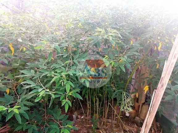 Imagem Sobrado com 1 dormitório à venda, 80 m² por R$ 200.000,00 - jardim Somar - Peruíbe/SP