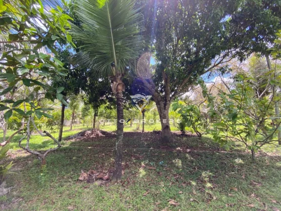Imagem SITIO RURAL em SANTA CRUZ CABRÁLIA - BA, BR 367