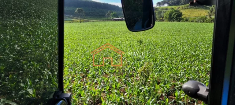 Imagem FAZENDA RURAL em CERRO NEGRO - SC, Interior