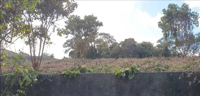 Imagem Terreno à venda, 3.203 m² por R$ 700.000 - GRANJA VIANA – PARQUE PRIMAVERA