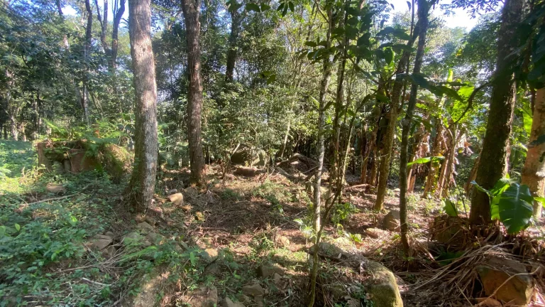 Imagem Terreno à venda em Garopaba-SC, bairro Ressacada, com 172.989,94 m² de área! Venha conferir!