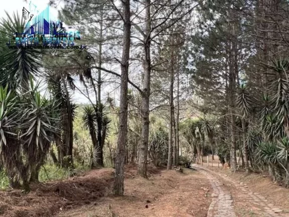 Imagem ÁREA 18.455m² PARA INCORPORAÇÃO EM COTIA - KM 36 DA RAPOSO TAVARES
