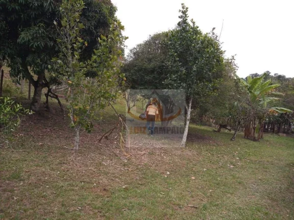 Imagem Sítio à venda, 72000 m² por R$ 400.000,00 - Padre André - Jacupiranga/SP
