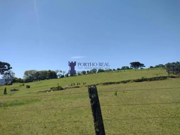 Imagem CHÁCARA COM 143.897M² NA REGIÃO DE BALSA NOVA
