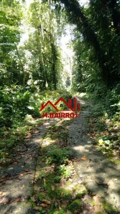 Imagem Terreno 30.000m à Venda na Praia de Maresias - São Sebastião SP.