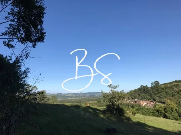 Imagem AREA RURAL em SANTO ANTÔNIO DA PATRULHA - RS, Pinheirinhos