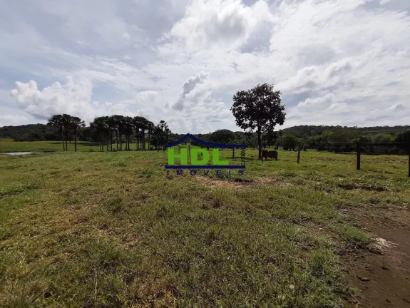 Imagem Chácara com 5 alqs Rica em Água 115 kms de Goiânia