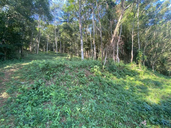 Imagem Terreno à venda em Garopaba-SC, bairro Ressacada, com 172.989,94 m² de área! Venha conferir!